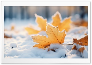 Fall to Winter Ultra HD Wallpaper for 4K UHD Widescreen desktop, tablet & smartphone