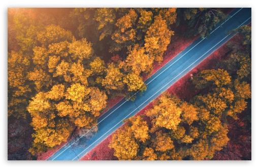 Fall Travel UltraHD Wallpaper for UHD 16:9 ; HD 16:9 ; UltraWide 21:9 24:10 32:9 32:10 ; Widescreen 16:10 5:3 ; Fullscreen 4:3 5:4 3:2 ; Tablet 1:1 ; Mobile 9:16 9:19.5 9:20 10:16 2:3 3:5 3:4 ; Dual 16:10 5:3 16:9 4:3 5:4 3:2 ;