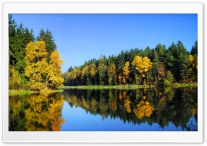 Fall Trees Reflection Ultra HD Wallpaper for 4K UHD Widescreen desktop, tablet & smartphone