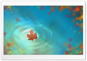 Fallen Autumn Leaves Ultra HD Wallpaper for 4K UHD Widescreen desktop, tablet & smartphone