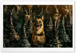 Fallout TV Series, Season 2, Dogmeat 4K UHD Wallpaper for Widescreen and UltraWide Desktop, UltraHD TV, Smartphone, Tablet