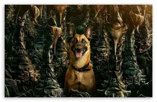 Fallout TV Series, Season 2, Dogmeat UltraHD Wallpaper for UHD 16:9 ; HD 16:9 ; UltraWide 21:9 24:10 32:9 32:10 ; Widescreen 16:10 5:3 ; Fullscreen 4:3 5:4 3:2 ; Tablet 1:1 ; Mobile 9:16 9:19.5 9:20 9:21 9:22 10:16 2:3 3:5 3:4 ; Dual 16:10 5:3 16:9 4:3 5:4 3:2 ;