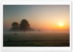 Fantasy 4K UHD Wallpaper for Widescreen and UltraWide Desktop, UltraHD TV, Smartphone, Tablet