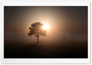 Fantasy 4K UHD Wallpaper for Widescreen and UltraWide Desktop, UltraHD TV, Smartphone, Tablet