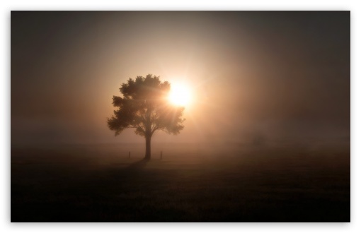 Fantasy UltraHD Wallpaper for HD 16:9 ; Widescreen 16:10 ;