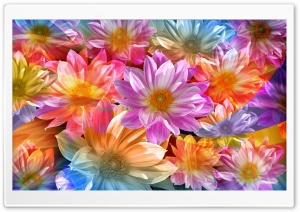 Fantasy Flowers Ultra HD Wallpaper for 4K UHD Widescreen desktop, tablet & smartphone