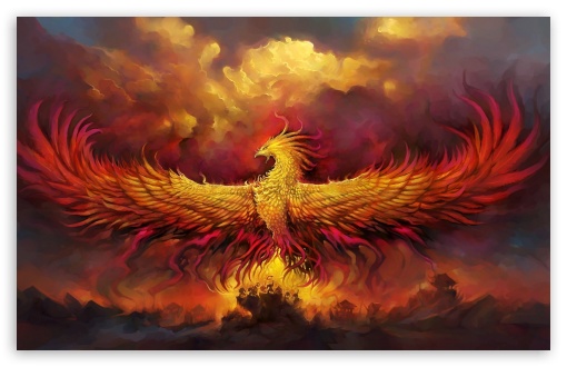Phoenix Fire Wallpaper for iPhone 11 Pro Max X 8 7 6  Free Download  on 3Wallpapers
