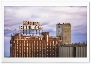 Farine Five Roses, Montreal Ultra HD Wallpaper for 4K UHD Widescreen desktop, tablet & smartphone