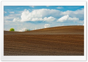 Farm Field Ultra HD Wallpaper for 4K UHD Widescreen desktop, tablet & smartphone