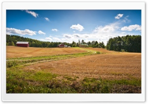 Farm Fields Ultra HD Wallpaper for 4K UHD Widescreen desktop, tablet & smartphone
