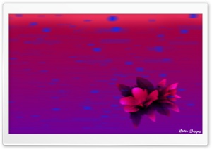Fast Tropical Flower Ultra HD Wallpaper for 4K UHD Widescreen desktop, tablet & smartphone