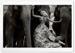 Female Model, Elephants Animals, Black and White Ultra HD Wallpaper for 4K UHD Widescreen desktop, tablet & smartphone