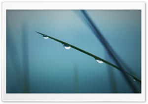 Few Drops Of Water 13 Ultra HD Wallpaper for 4K UHD Widescreen desktop, tablet & smartphone