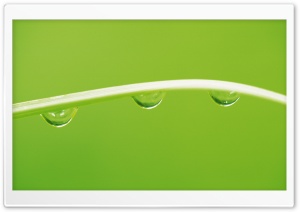 Few Drops Of Water 14 Ultra HD Wallpaper for 4K UHD Widescreen desktop, tablet & smartphone