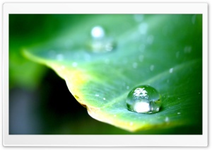 Few Drops Of Water 2 Ultra HD Wallpaper for 4K UHD Widescreen Desktop, Lockscreen, Screensaver, TV, Tablet, Smartphone