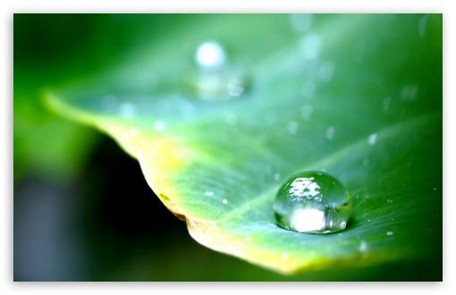 Few Drops Of Water 2 UltraHD Wallpaper for Widescreen 16:10 5:3 ; Fullscreen 4:3 5:4 3:2 ;