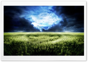 Field 4K UHD Wallpaper for Widescreen and UltraWide Desktop, UltraHD TV, Smartphone, Tablet