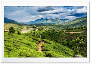 Field Lake In The Valley Mountain Ultra HD Wallpaper for 4K UHD Widescreen desktop, tablet & smartphone