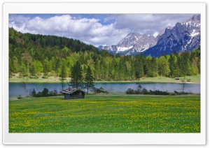Field of Flowers Ultra HD Wallpaper for 4K UHD Widescreen desktop, tablet & smartphone
