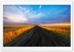 Field Road Ultra HD Wallpaper for 4K UHD Widescreen desktop, tablet & smartphone