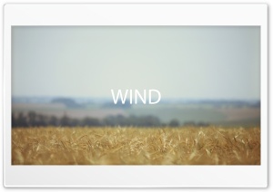 Field Wind Ultra HD Wallpaper for 4K UHD Widescreen desktop, tablet & smartphone