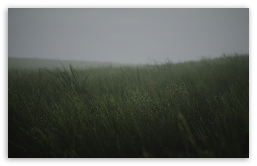 Fields in Motion The Wind's Gentle Touch UltraHD Wallpaper for UHD 16:9 ; HD 16:9 ; UltraWide 21:9 24:10 32:9 32:10 ; Widescreen 16:10 5:3 ; Fullscreen 4:3 5:4 3:2 ; Tablet 1:1 ; Mobile 9:16 9:19.5 9:20 9:21 10:16 2:3 3:5 3:4 ; Dual 16:10 5:3 16:9 4:3 5:4 3:2 ;