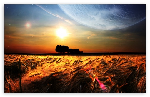 Fields Wheat Photo Manipulation UltraHD Wallpaper for Wide 16:10 5:3 Widescreen WHXGA WQXGA WUXGA WXGA WGA ; 8K UHD TV 16:9 Ultra High Definition 2160p 1440p 1080p 900p 720p ; Standard 4:3 5:4 3:2 Fullscreen UXGA XGA SVGA QSXGA SXGA DVGA HVGA HQVGA ( Apple PowerBook G4 iPhone 4 3G 3GS iPod Touch ) ; Tablet 1:1 ; iPad 1/2/Mini ; Mobile 4:3 5:3 3:2 16:9 5:4 - UXGA XGA SVGA WGA DVGA HVGA HQVGA ( Apple PowerBook G4 iPhone 4 3G 3GS iPod Touch ) 2160p 1440p 1080p 900p 720p QSXGA SXGA ;