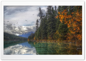 Fifth Lake, Jasper National Park, Alberta, Canada Ultra HD Wallpaper for 4K UHD Widescreen desktop, tablet & smartphone