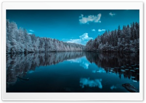 Finland Forest Lake Ultra HD Wallpaper for 4K UHD Widescreen desktop, tablet & smartphone