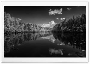 Finland Forest Lake Black and White Ultra HD Wallpaper for 4K UHD Widescreen desktop, tablet & smartphone
