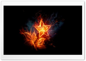 Fire Flower 1 Ultra HD Wallpaper for 4K UHD Widescreen desktop, tablet & smartphone
