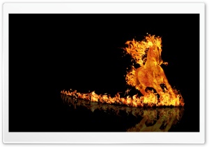Fire Horse Ultra HD Wallpaper for 4K UHD Widescreen desktop, tablet & smartphone