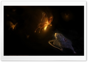 Firefly Ultra HD Wallpaper for 4K UHD Widescreen desktop, tablet & smartphone