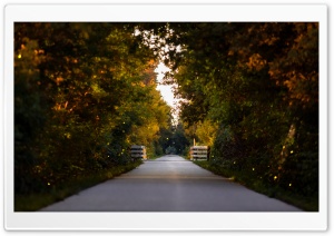 Firefly Bridge Ultra HD Wallpaper for 4K UHD Widescreen desktop, tablet & smartphone
