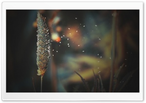 First Edit1 Ultra HD Wallpaper for 4K UHD Widescreen desktop, tablet & smartphone