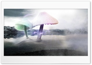Fischfanger - Giant Mushrooms Ultra HD Wallpaper for 4K UHD Widescreen desktop, tablet & smartphone