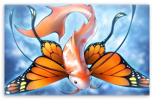 Fish Butterfly UltraHD Wallpaper for Wide 16:10 Widescreen WHXGA WQXGA WUXGA WXGA ; 8K UHD TV 16:9 Ultra High Definition 2160p 1440p 1080p 900p 720p ; Mobile 16:9 - 2160p 1440p 1080p 900p 720p ;