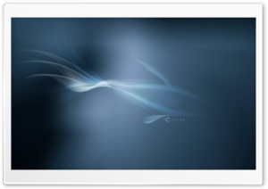 Fish Form Ultra HD Wallpaper for 4K UHD Widescreen desktop, tablet & smartphone