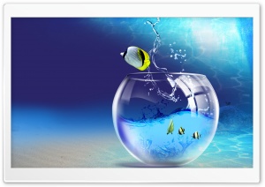 Fish Jumping Out Of Aquarium Ultra HD Wallpaper for 4K UHD Widescreen desktop, tablet & smartphone