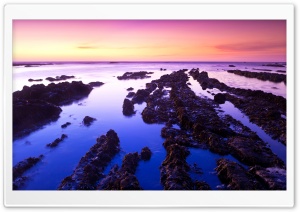 Fitzgerald Low Tide Ultra HD Wallpaper for 4K UHD Widescreen desktop, tablet & smartphone