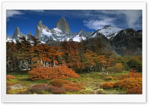 Fitzroy And Beech Trees In Autumn Los Glaciares National Park Patagonia Argentina Ultra HD Wallpaper for 4K UHD Widescreen desktop, tablet & smartphone