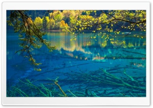 Five Flower Lake with Turquoise Water, Jiuzhaigou Valley 4K UHD Wallpaper for Widescreen and UltraWide Desktop, UltraHD TV, Smartphone, Tablet