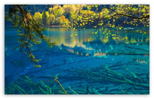 Five Flower Lake with Turquoise Water, Jiuzhaigou Valley UltraHD Wallpaper for UHD 16:9 ; HD 16:9 ; UltraWide 21:9 24:10 ; Widescreen 16:10 5:3 ; Fullscreen 4:3 5:4 3:2 ; Tablet 1:1 ; Mobile 9:16 9:19.5 9:20 9:21 9:22 10:16 2:3 3:5 3:4 ;