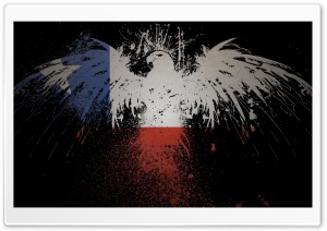 Flag Eagles Chile Ultra HD Wallpaper for 4K UHD Widescreen desktop, tablet & smartphone