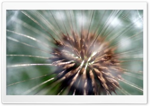 Fleecy Puff 4K UHD Wallpaper for Widescreen and UltraWide Desktop, UltraHD TV, Smartphone, Tablet