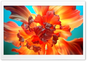 Flower Aesthetic Ultra HD Wallpaper for 4K UHD Widescreen desktop, tablet & smartphone