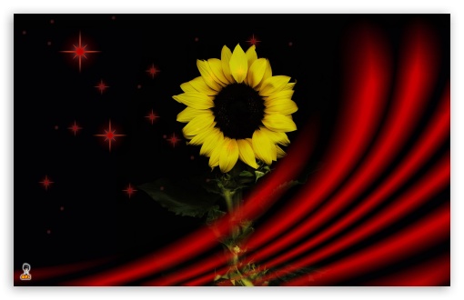 flower art UltraHD Wallpaper for Widescreen 16:10 ;