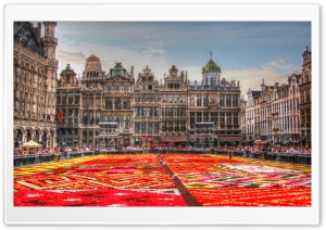 Flower Carpet - Grand Place - Brussels, Belgium Ultra HD Wallpaper for 4K UHD Widescreen desktop, tablet & smartphone