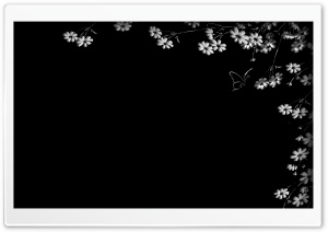 Flowers And Butterflies Ultra HD Wallpaper for 4K UHD Widescreen desktop, tablet & smartphone