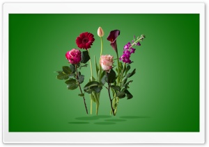 Flowers Art Design Ultra HD Wallpaper for 4K UHD Widescreen desktop, tablet & smartphone